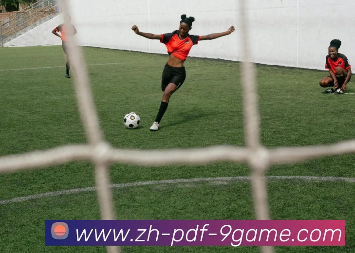 J9九游APP 封面图